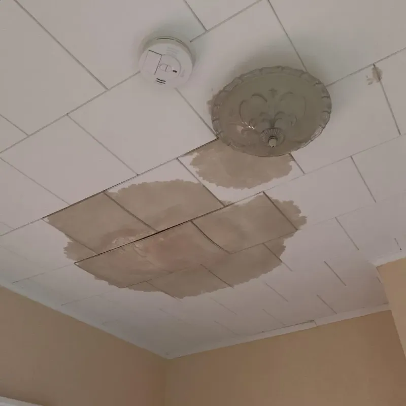 Ceiling Water Damage Repair in Shelby, OH